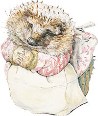 Mrs Tiggy - Winkle, as a child Beatrix had known a charming old Scottish country washerwoman call Kitty MacDonald. Mrs Tiggy - Winkle is a similar small, round twinkly-eyed washerwoman, but has prickles under her cap and does laundry for some surprising customers.