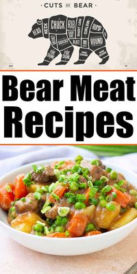 This is how to cook bear meat to tender! Great bear meat recipes like stew, chili, burgers, loin and more. Cut into pieces or ground too.