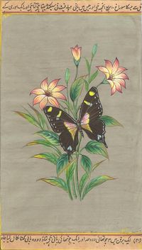 Butterfly Nature Painting Handmade Watercolor Indian Miniature Wild Life Art