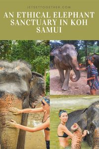 #thailand #samui #kohsamui #elephant #sanctuary #travel #travelblog #travelguide #blog #guide #samuithailand #travelinthailand