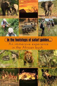 In the footsteps of safari guides in the African bush | Best regards from far,