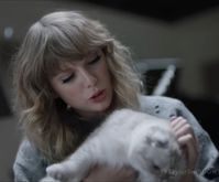 #tay #taylor #taytay #taytayswift #taylorswiftedit #taylorswiftlyrics #taylorswiftaesthetic #taylorswift #taylorswift13 #taylornation #taylorwewillstay #taylorsversion #cat