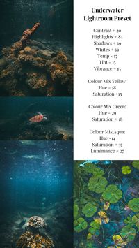 The perfect underwater cinematic preset to enhance your photos 🧜🏻‍♀️