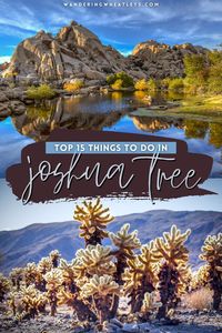 15 Best Things to Do in Joshua Tree National Park California | activities in Joshua Tree | California travel | places in California | parks in California | attractions in Joshua Tree | hiking Joshua Tree National Park | camping Joshua Tree National Park | Joshua Tree hikes | what to do in Joshua Tree | USA travel | US National Parks | best destinations | sights in Joshua Tree National Park | landmarks in Joshua Tree National Park | Joshua Tree things to do | #JoshuaTreeNationalPark #California