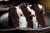 Mississippi Mud Cake