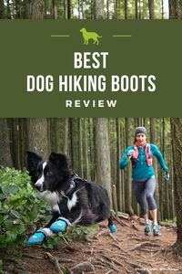 Which boots are best for my dog?