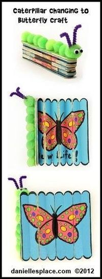 Butterfly transformation craft