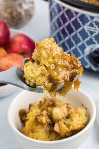    Crock Pot Apple Pudding Cake I am absolutely amazed that I made this apple pudding cake in the crock pot.  Good Grief this is good!  Where do I start…  Warm apples topped with cinnamon, a fluffy cake with a thick pudding flavoured with orange; this is absolutely one of the best recipes for apple...