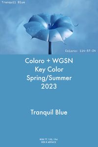 Tranquil Blue #trends #color #wgsn #coloro #fashion #ss23