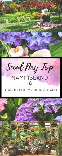 Nami Island and The Garden Of The Morning Calm With Trazy Korea