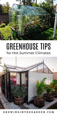 If you live in a hot summer climate, you may have wondered if a greenhouse would be beneficial. Questions like: Would a greenhouse get too hot in Arizona? How many months of the year could I use the greenhouse?