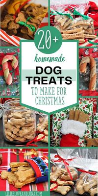 Homemade dog treats make a great gift for any dog (or dog owner). Celebrate the holidays with your dog by making them one (or more) of these homemade Christmas dog treats. These homemade dog treats recipes are great for Christmas or any time of the year.