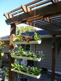 If you're interested in using the gutter of your home as a planter, here you'll find some neat Rain Gutter Garden Ideas that you can make yourself.