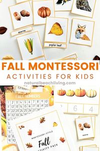 Fall Montessori Activities and Fall Lesson Plans for Preschool and Kindergarten - Natural Beach Living