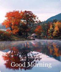 Good Morning Fall Images: Are you looking for some amazing good morning fall pics? If yes, then you are probably at the best place as here we have uploaded more than 40+ pictures that you can download and share with your friend on Facebook, Instagram, and WhatsApp.