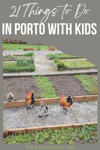 Porto in Portugal is perfect for families who wish to stay a few days and explore the 2nd most important city in the country . Here are the best things to do in Porto with kids. best places to visit in Porto Portugal | Porto travel guide | what to do in Porto Portugal | #porto #portugal #familytravel