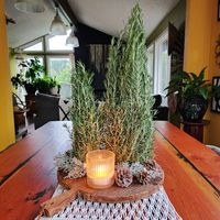 DIY Fresh Rosemary trees – twelveOeight