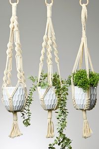 This macrame plant hanger is SO PRETTY and it's surprisingly easy to make! Add boho vibes to your home decor with a macrame hanging planter, or give it as a thoughtful handmade gift. It's such a great macrame craft idea, and a fun way to practice a few basic knots. You only need macrame cord and a wooden ring!