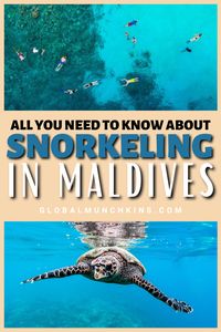 Interestingly, snorkeling is one of the most popular activities in the Maldives. Don't pass up the opportunity to go snorkeling in Maldives! It's an unforgettable experience!