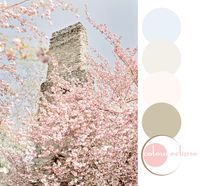 rose quartz and serenity color palette