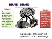 What is "Brain Drain"?