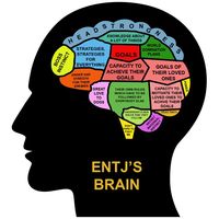 ENTJ's brain