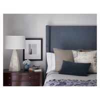 Master Bedroom - Transitional - Bedroom - Chicago - by Amy Kartheiser Design | Houzz