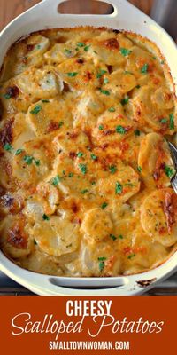 Scalloped Potatoes | Cheesy Potatoes | Potatoes | Side | Potato Casserole | Side Dish | Casserole Side | Potatoes Au Gratin | Small Town Woman #cheesyscallopedpotatoes #scalloped potatoes #smalltownwoman