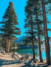 Looking for things to do in Yosemite National Park? This 2 day Yosemite itinerary is packed with Yosemite National Park hikes, recommendations for where to stay in Yosemite National Park, Yosemite National Park itinerary  #yosemite #yosemitenationalpark #yosemiteitinerary