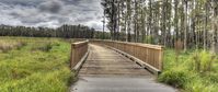 The trail to your new home at Asturia in Odessa, FL