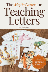 This is the best order for teaching children their letters and sounds! Introducing letters in these small groups allows children to learn the letters and sounds in a way so words can begin to be built immediately. Right away children learn s, a, t, i, p, n and can start reading words like: sat, pat, tip, sip, nap, tap, and so on.