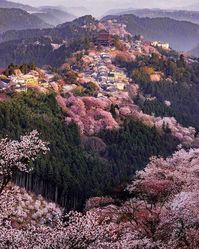 Monte Yoshino, Nara Japón.