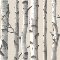 Chesapeake Tuxbury Beige Birch Tree Wallpaper