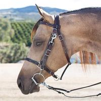 SmartPak Combo Bridle