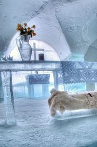 Sorrisniva Ice Hotel in Alta, Norway