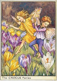 Flower Fairies of the Spring - The Crocus Fairy