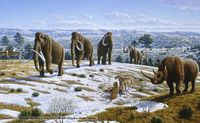 How the landscape during the last Ice Age may have looked, with mammals like the woolly mammoth and woolly rhinoceros