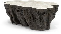 Chloe Fossil Clam Lava Coffee Table | PALECEK