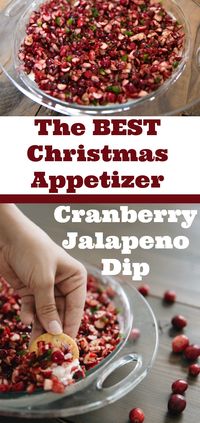 (1) 12-oz package fresh, uncooked cranberries, diced 1/4 cup green onion, chopped 1 fresh jalapeno pepper, seeded and diced 2 Tbsp. cilantro, chopped (optional) 1 1/4 cup sugar 1 Tbsp. lemon juice Dash of salt (2) 8-oz packages cream cheese, softened