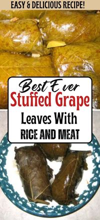 Create stuffed grape leaves with rice and meat for a comforting family dinner. This recipe is great for sharing, combining savory ingredients wrapped in grape leaves for a dish everyone will love. It’s ideal for a Sunday dinner or a special occasion meal. Serve it with a Greek salad or roasted potatoes. Enjoy a dish that brings people together with its delicious flavor and homestyle charm.