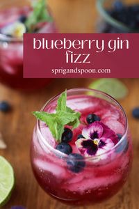 This blueberry gin cocktail is fruity, sweet, and refreshing. Perfect for wow-worthy hosting or a casual happy hour, you’ll love whipping this cocktail up throughout the summer and beyond!