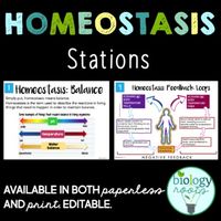 This is an editable set of homeostasis stations- perfect to introduce homeostasis or as a complete lesson for life science, biology, or anatomy and physiology. They also work GREAT as a sub plan or extension activity! Topics covered:What is homeostasisExamples of homeostasis; students must figure out the problem, response, and counteractionNegative and Positive Feedback LoopsHomeostasis in PlantsTypes of Stations:Informative text- this can be a complete lesson, it's all covered.Video stationAnal