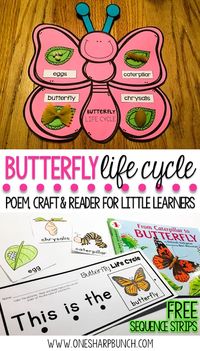 Teach your Kindergarten and primary students all about the life cycle of a butterfly with this butterfly life cycle poem, butterfly craft and FREE butterfly life cycle sequence strips! They are the perfect way to bring a little science into your spring activities!