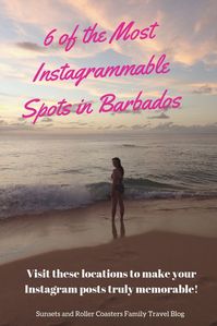 Planning a visit to Barbados? Don't miss our most instagrammable locations in Barbados! Beaches, cliffs, sunsets and local animals ... these are the best places for awesome photos that will show everyone exactly how beautiful the island is! #barbados #barbadosinstagram #barbadostravel #instagramlocations #caribbean #caribbeantravel #barbadossunset