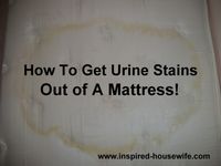 Mattress Pee Stain Removal. Between little monsters and furry friends, this is something everyone should know!