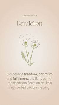 Symbolizing freedom, optimism and fulfillment, the fluffy puff of the dandelion floats on air like a free-spirited bird on the wing.