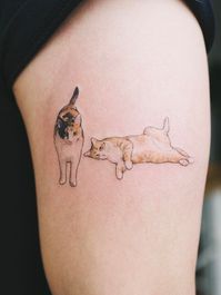 cute cat tattoos © Sol Tattoo Parlor 😺😺😸