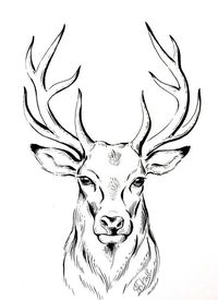 Original deer drawing, minimalist drawing, photo ink, deer ink drawing  #drawing #minimalist #original #photo