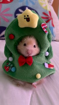 The hamster's outfit is designed in the shape of a green Christmas tree, with a cute yellow star pattern on the top, along with accessories such as candy canes, gift boxes, and colorful baubles. The highlight is the prominent red bow on the neck, making the hamster look extremely adorable and stand out in the Christmas atmosphere. #HamsterChristmasOutfit #ClothesHamster #ChristmasHamsterCostume