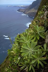 Robinson Crusoe Island